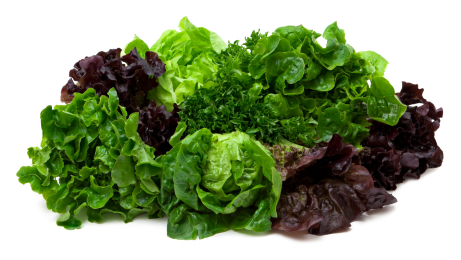 Growing Lettuces & Salad Leaves